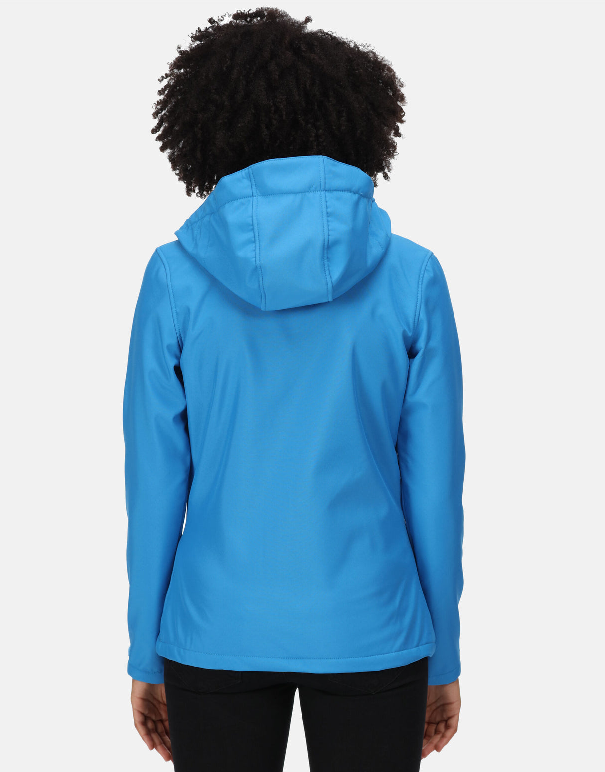 French Blue / Navy