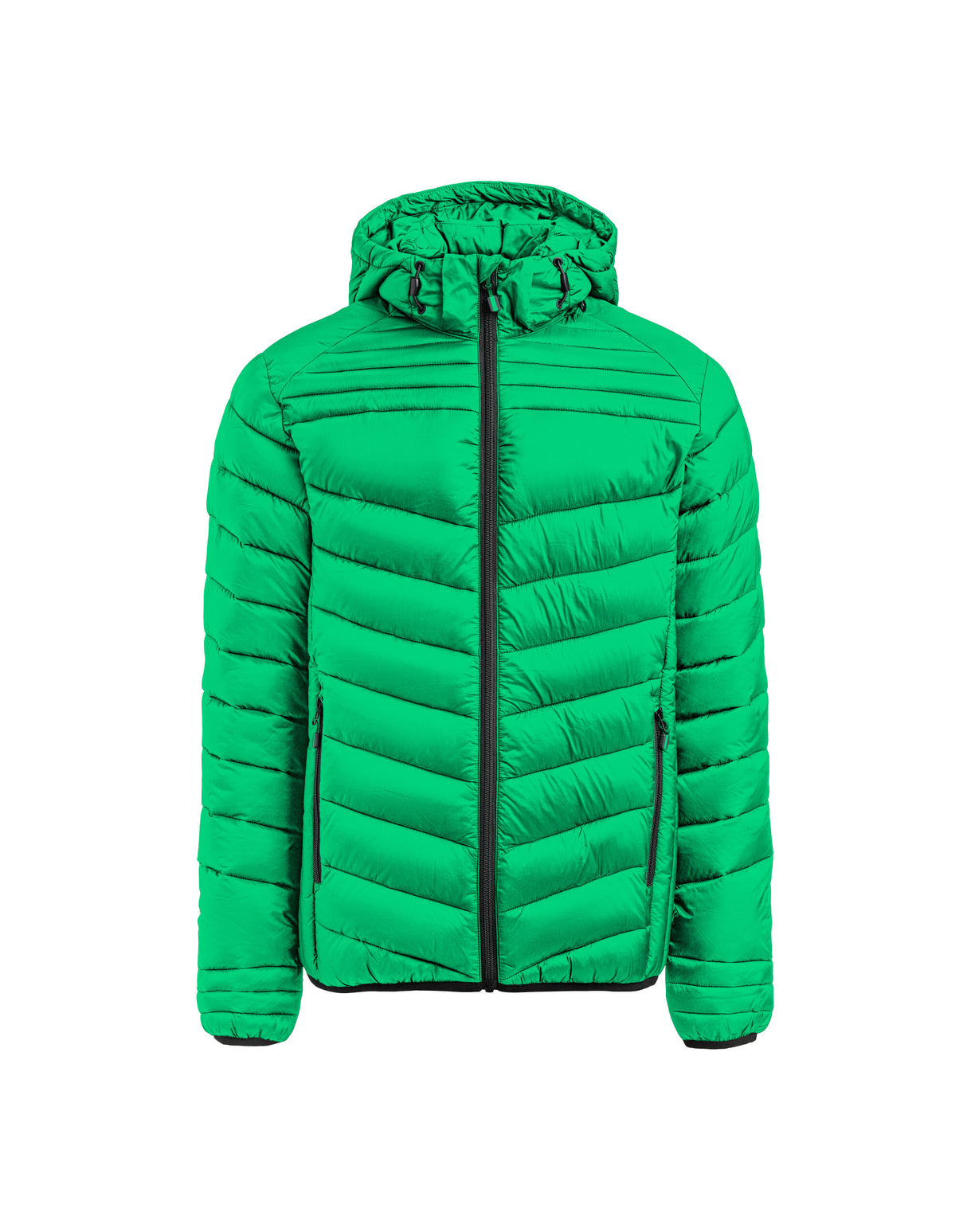 Fresh Green