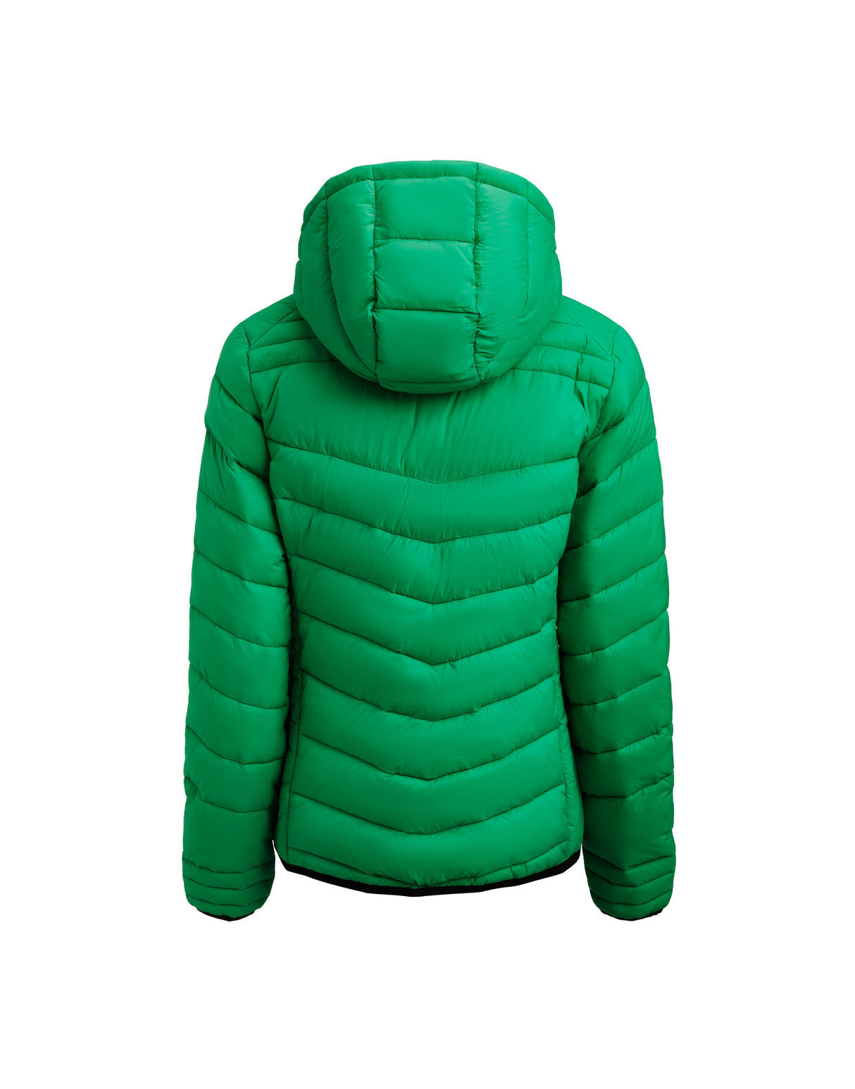 Fresh Green