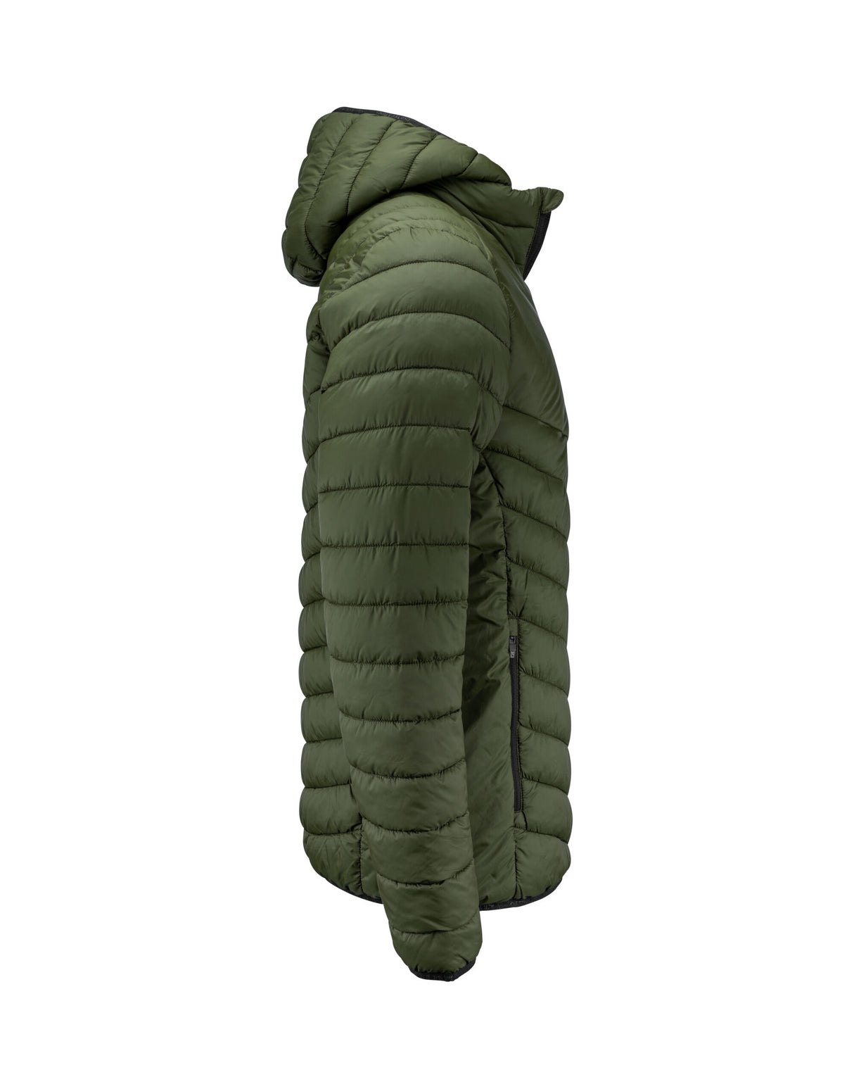 Ivy Green