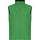 Apple Green