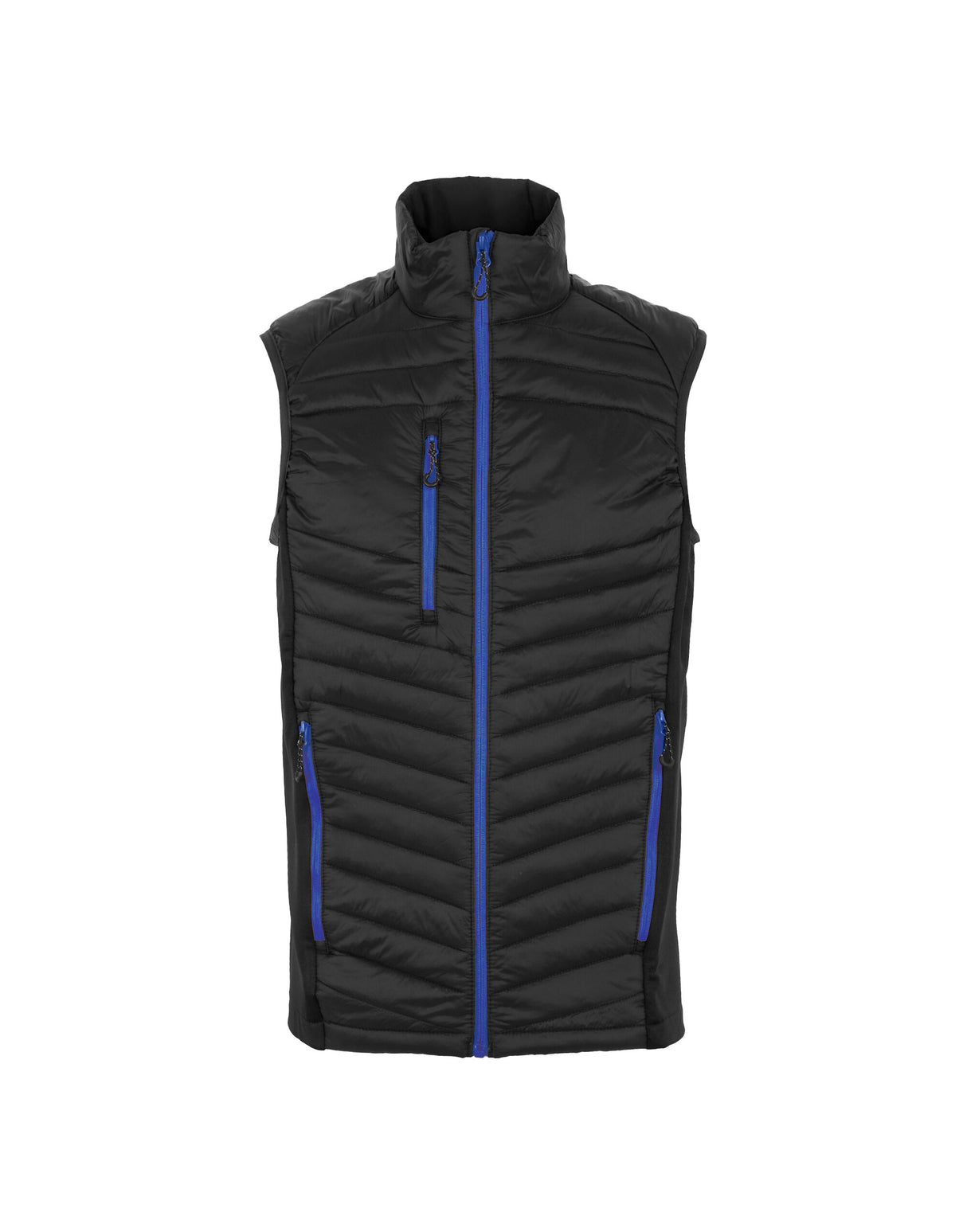 Black/ New Royal
