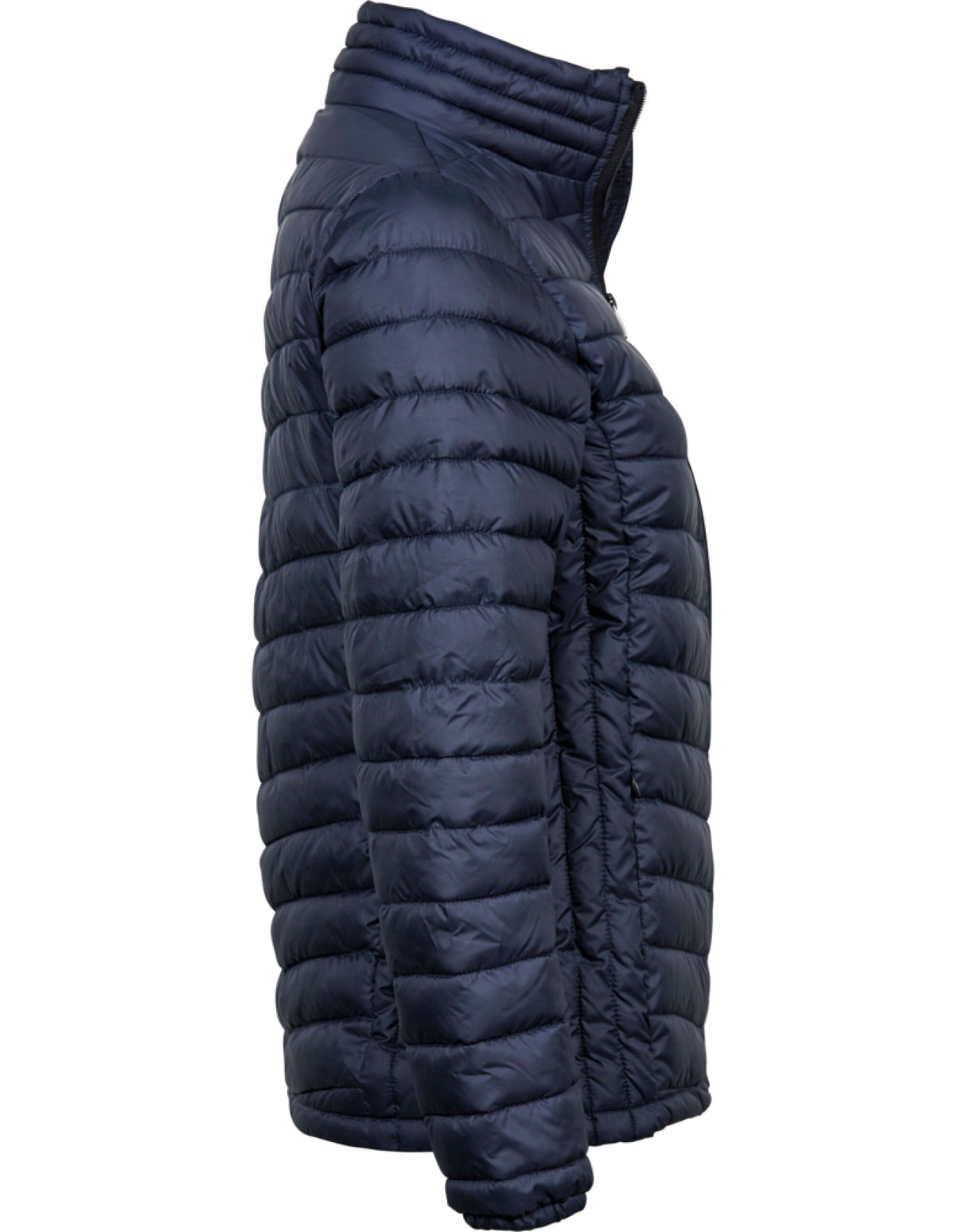 Deep Navy