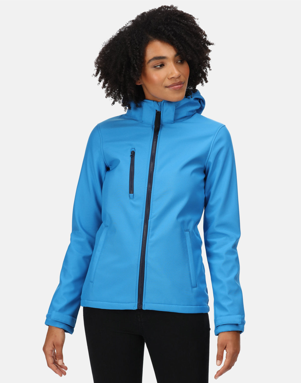 French Blue / Navy