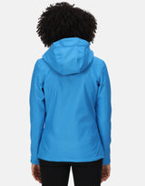 French Blue / Navy