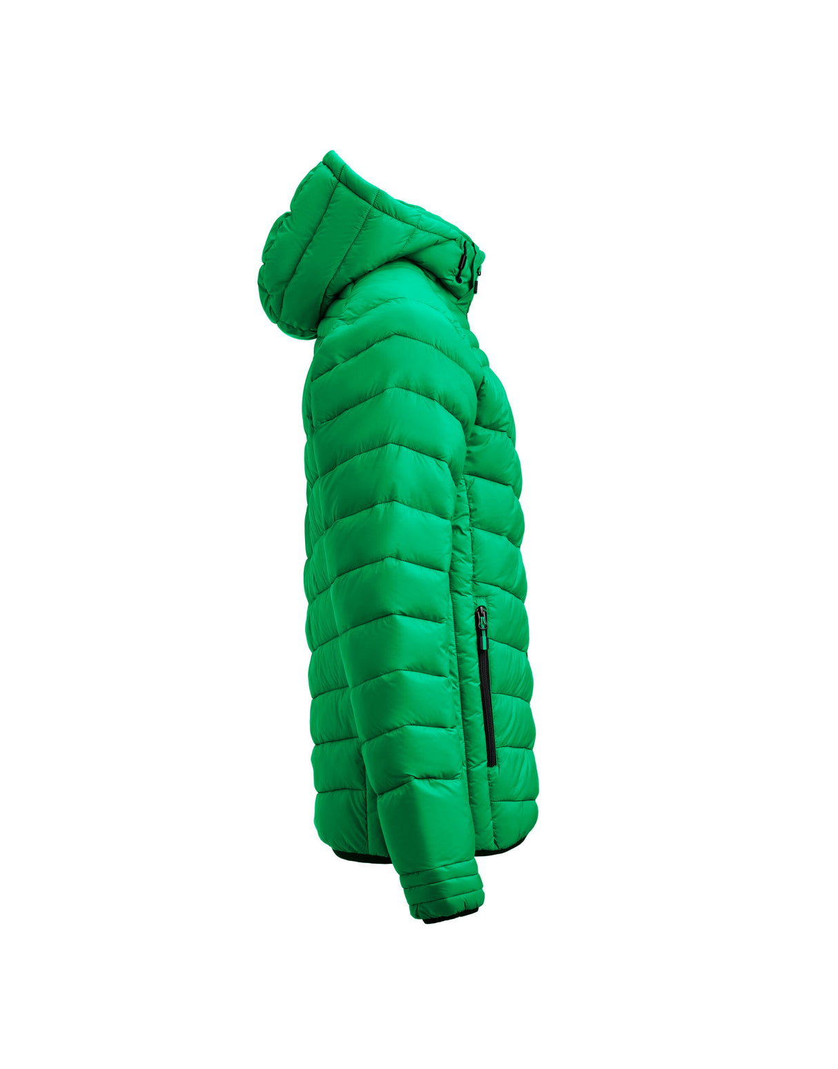 Fresh Green