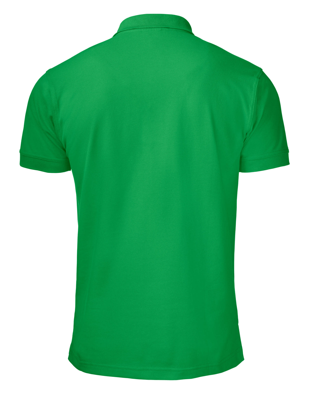 Fresh Green