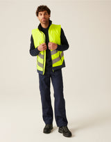 Yellow/Navy