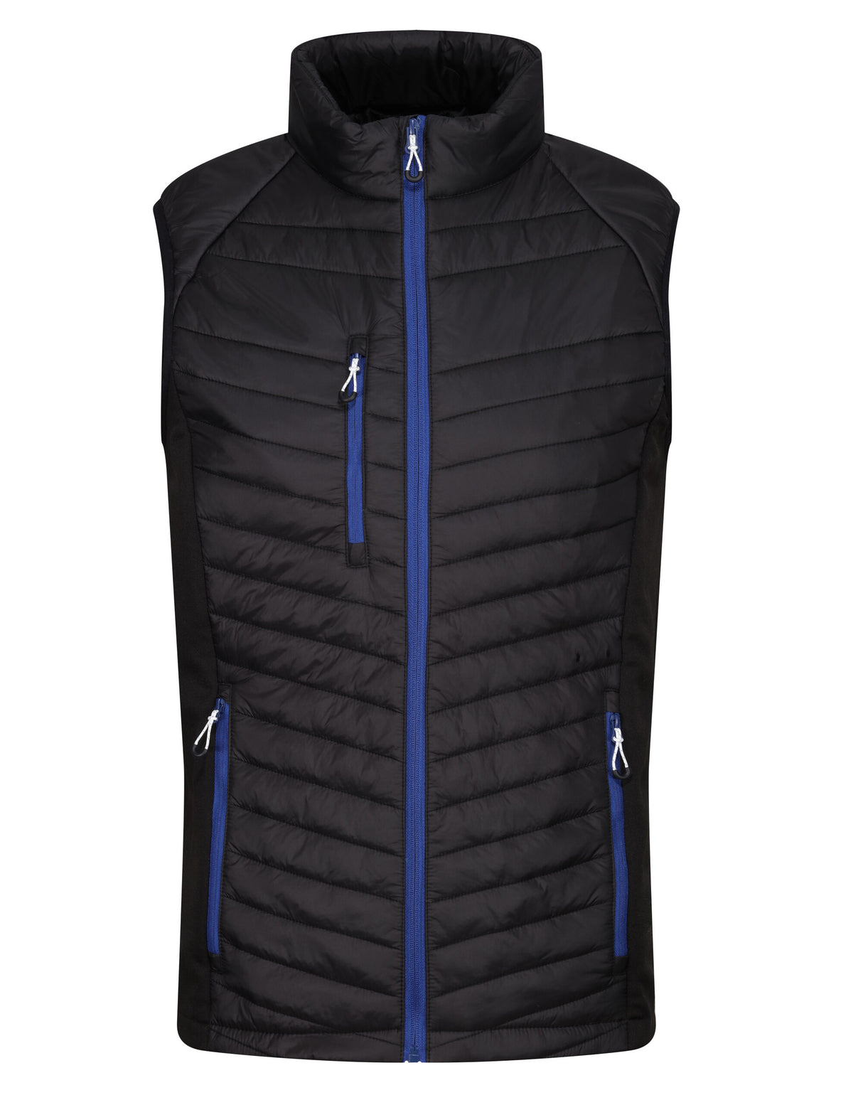 Black/ New Royal