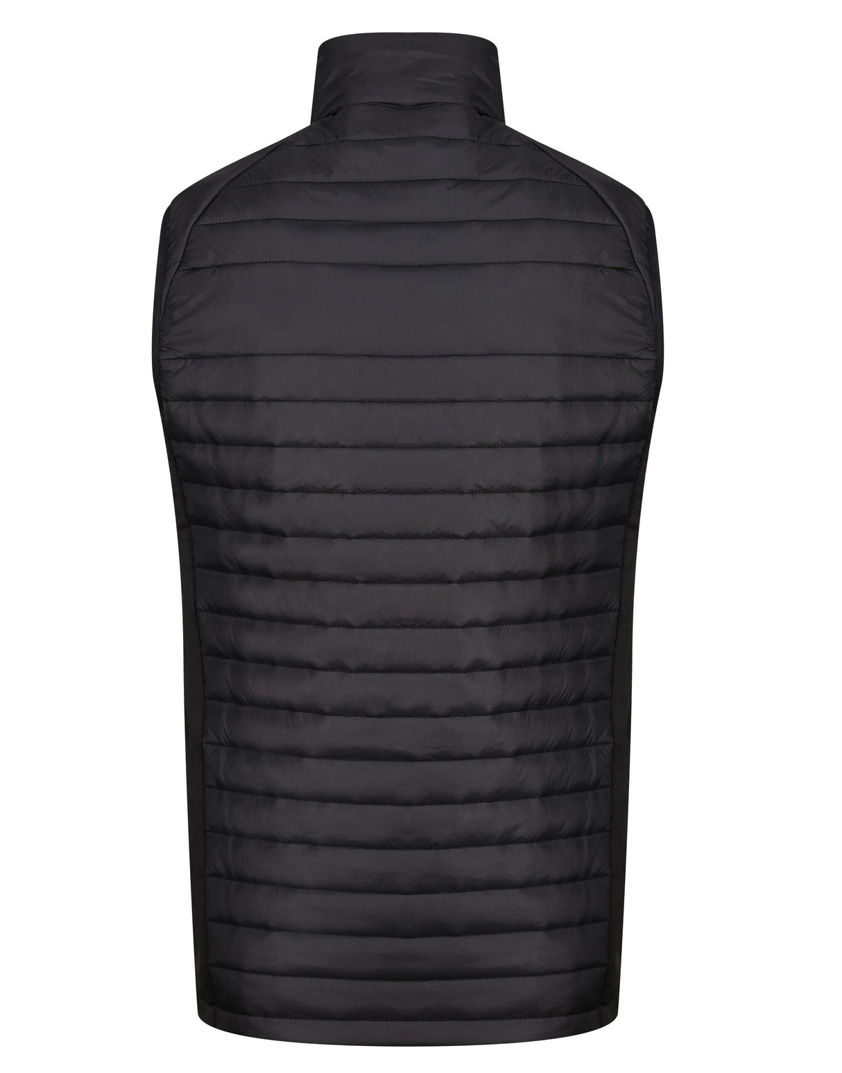 Black/ New Royal