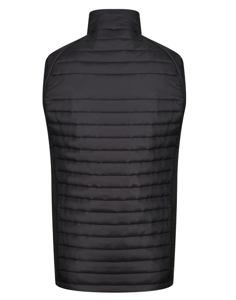 Black/ New Royal