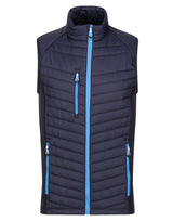 Navy/ French Blue