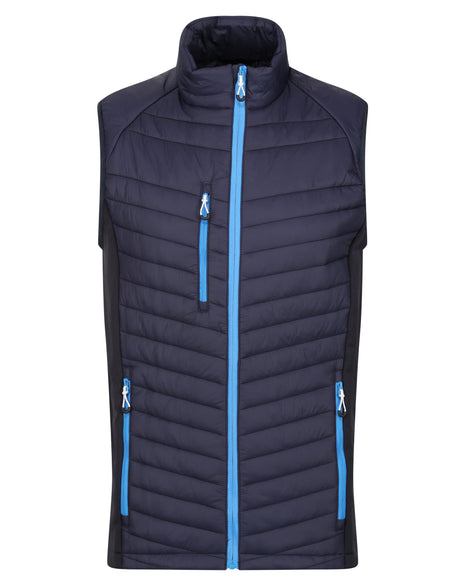 Navy/ French Blue