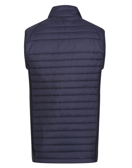Navy/ French Blue