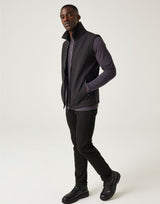Black/Seal